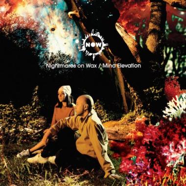 Nightmares On Wax -  Mind Elevation